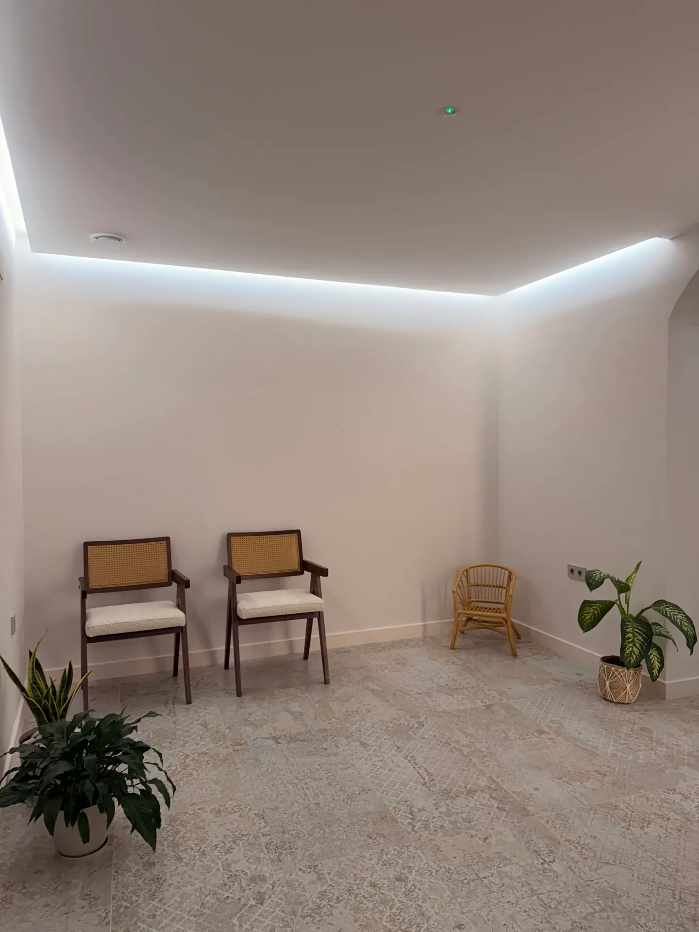 Sala de espera con sillas de madera y rejilla, plantas y luz indirecta perimetral